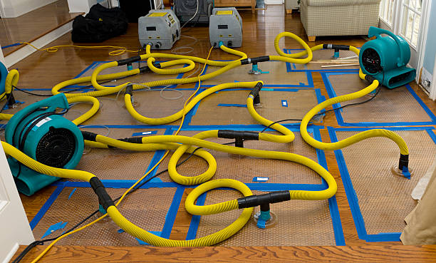 Professional Sewage Cleanup technician working in Livingston, TN
